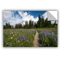 Vadvirágok út az Mt Rainier felé