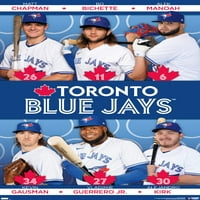 Toronto Blue Jays - Team fali poszter, 22.375 34