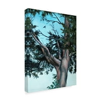 Védjegy képzőművészet 'Juniper Tree' vászon művészet Rusty Frentner