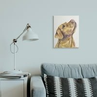 Stupell Industries sárga labor felfelé nézve kisállat kutya portré vászon fal művészet, 30, George Dyachenko tervezése